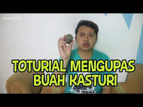 tutorial-mengupas-kasturi-semoga-bermanfaat