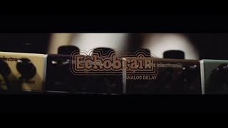 Echobrain Analog Delay Bass Demo