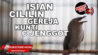 Download lagu #1 🔴 Masteran Srigunting Abu Abu Gacor Isian Paling Asik 2023❗️ mp3