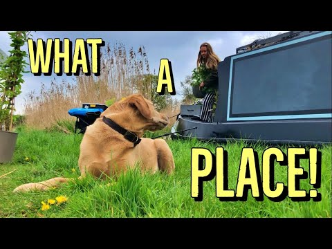 #147  I Didn't Know It Would Be Like This! NARROWBOATING on a New Canal.