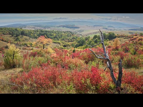Természetvédelmi fenntartási munkák a gömörszölösi gyümölcsösben