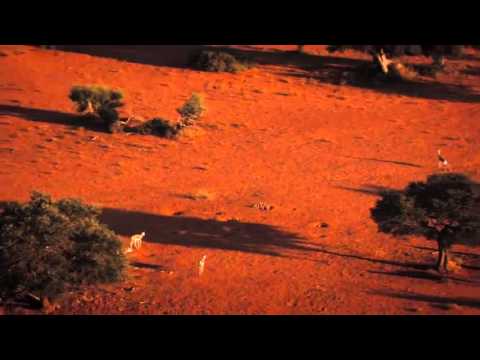 WNF reclame walking in the air