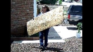 Trying Hard to Piss Me Off, Tresspassing Again with Her Gun.