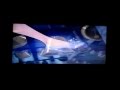 Closing To Cinderella 1988 VHS