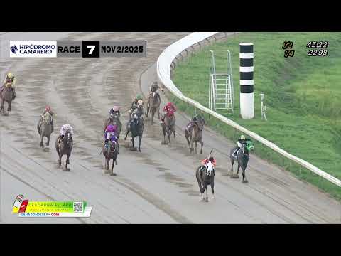 EL CONSISTENTE - Clásico Angel Tomás Cordero, Jr. 2025