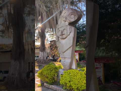 Pitalito, Huila: donde el trabajo y la pasión se unen para construir un futuro mejor.#pitalito