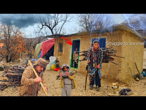 🌧 Nomadic Life in a Rainy Winter | Collecting Firewood in the Rain, Farming, and Survival🏔