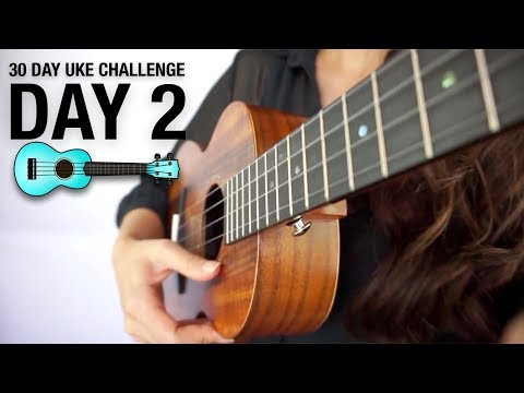 DAY 2 - HOW TO HOLD THE UKULELE CORRECTLY - 30 DAY UKE CHALLENGE