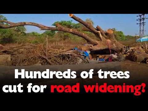 Hundreds of trees cut for road widening? #Goa #Goanews #TreeCut #RoadWidening