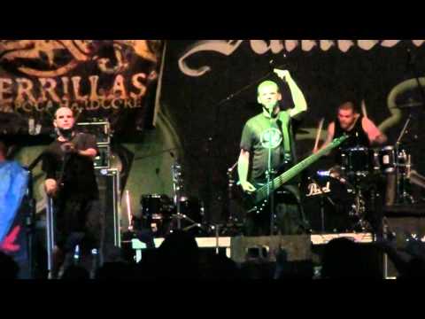 Guerrillas 6 (Together Forever Stronger).avi