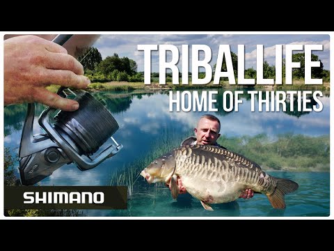 TribalLife: Home of the Thirties - with Billy Flowers