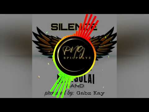SILENCE (2023) - MINIGULAI BAND(Prod By Gabz Kay)