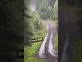 Rally Car FULL SEND!!!! All Gas No Brake!!!