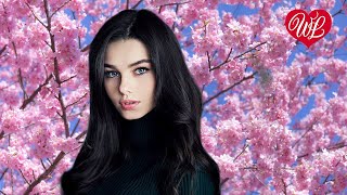 Я ЛЮБЛЮ ТЕБЯ ОДНУ ♥ ВОСТОЧНЫЙ ХИТ- КРАСИВАЯ МУЗЫКА ВОСТОКА WLV ♥ ГОРЯЧИЕ ПЕСНИ КАВКАЗА ♥