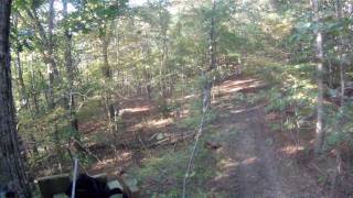 2011 Bow Hunting - My first Doe - GoPro Head Cam