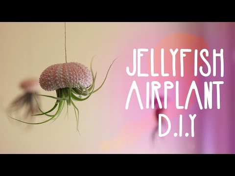 Jellyfish Airplants ♥ DIY