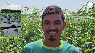 রাসায়নিক সার ও কীটনাশক ছাড়া সবজি চাষে তরুণ উদ্যোক্তা।