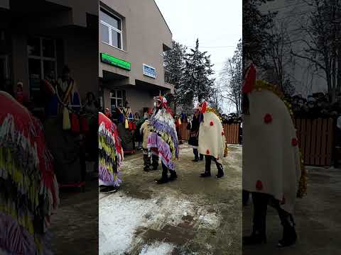 Banda Mare Brăești 2021