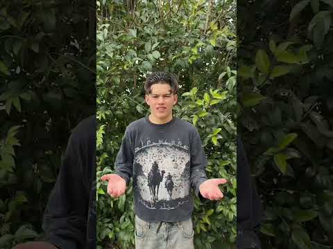 lollo da quando si è rifidanzato pensa solo a sofy, ditegli che mi manca 😭🫩