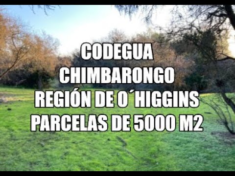 Codegua Chimbarongo, Región de O`Higgins Parcelas de 5000 m2
