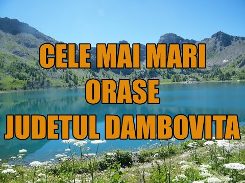 Cele mai mari oarse din Judetul Dambovita!
