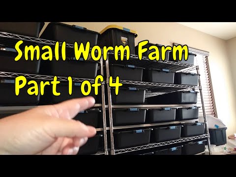 Starting a Worm Farm? Here's What Actually Happens