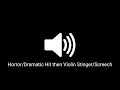 Horror Dramatic Hit Then Violin Stinger Screech Sound Effect