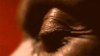 Massive Attack/Terry Callier - Live With Me - Official Music Video (HQ)