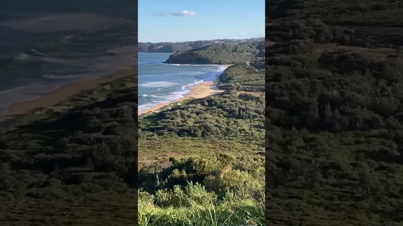 YouTube Short thumbnail