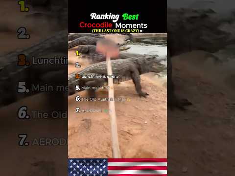 Ranking Best Crocodile Moments #usa