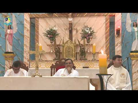 5ª noite da festa de NSR - Dia de Nossa Senhora dos Remédios