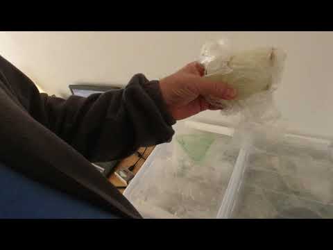 MongoTV_6236 - Kigger På Flyttekasser i Forstue Stået 7 År - Del 174 - STATUS