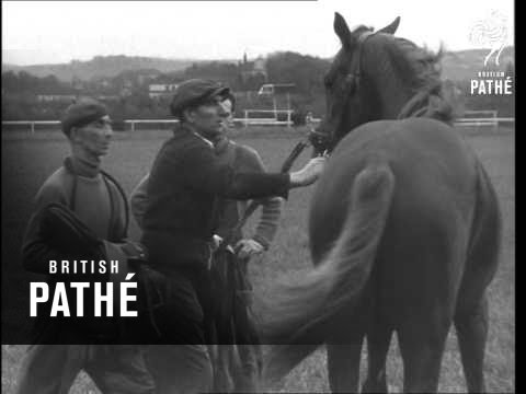 "Breaking In" Horses In Czechoslovakia (1963)