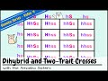 Dihybrid and Two-Trait Crosses