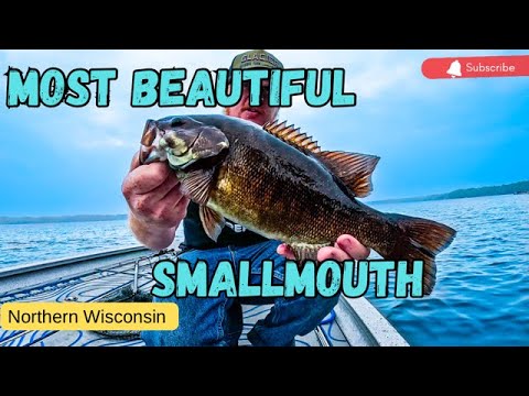 STUNNING North Wisconsin Smallmouth Bass! BONUS MUSKY (Northern Wisconsin)