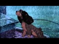 Lady And The Tramp Rat Scene HD