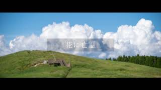 花に亡霊 / Acoustic ver cover | ”Ghost In A Flower” / Yorushika (Cover by Akunin)