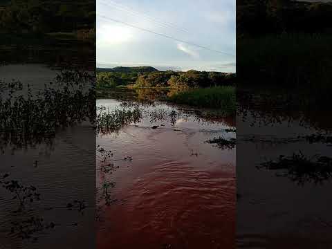 açude sangrando em canto do Buriti piaui #vidanaroça #youtube