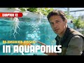DO Dissolved Oxygen In Aquaponics Neural Organics