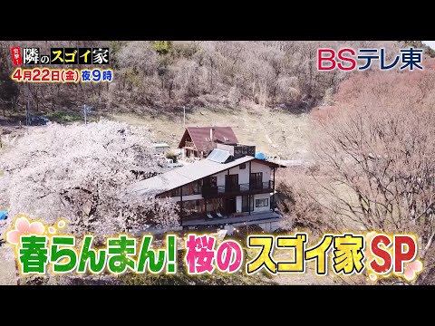 プライバシー保護のために木製フェンスでテラスを隠す方法