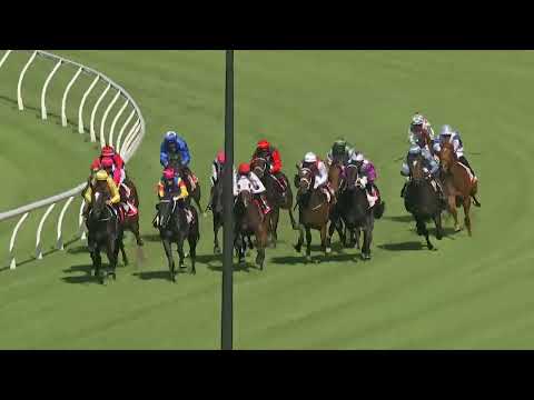 Grand Prix Stakes 2025 - MATIAS (3YO SW G3) Group 3 Eagle Farm 20 December