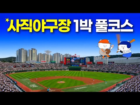 부산 여행 핵심 가이드: 하이든 호텔과 꿀팁 대공개!