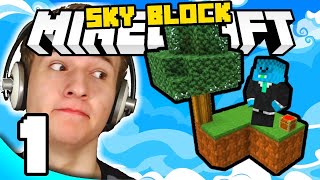 SKYBLOCK SE VRATIO ( Minecraft Sky Block #1 )