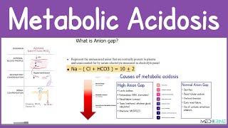 Metabolic Acidosis: Causes, Types, Pathophysiology, Anion Gap, Clinical signs and Dx Simplified
