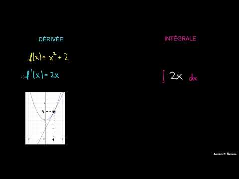 Qu'est-ce qu'une Intégrale ?