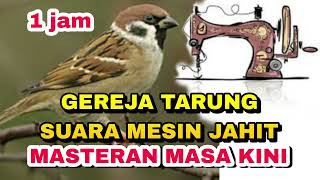 Download lagu MASTERAN KOMBINASI GEREJA TARUNG MESIN JAHIT RAPAT TERBARU !! MUDAH DITIRU_ @sultanakbar mp3 Download lagu MASTERAN KOMBINASI GEREJA TARUNG MESIN JAHIT RAPAT TERBARU !! MUDAH DITIRU_ @sultanakbar mp3