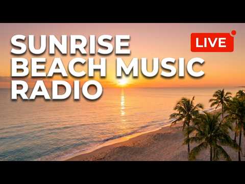 Fort Lauderdale - Elbo Room Bar live cam