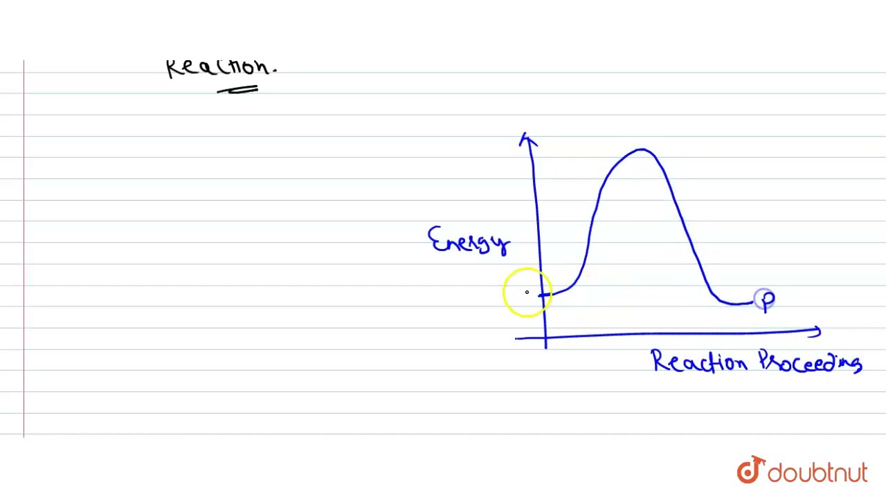 What is the effect of catalyst on the equilibrium state in a chemical reaction ?  | 11 | EQUILIB...