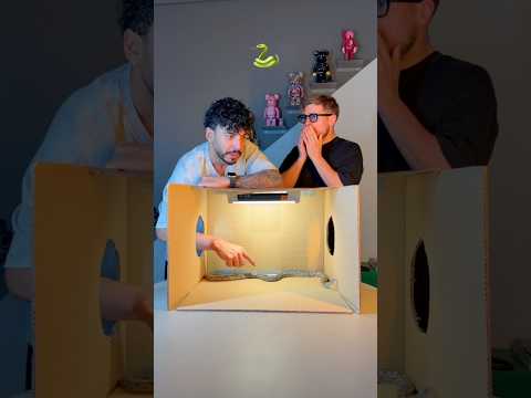 NON HO MAI VISTO DADDA URLARE COSÌ TANTO! (PENSO DI SENTIRMI MALE)