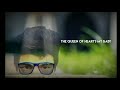 I M The Queen Of Hearts Whatsapp Status Ringtone Peter S Playlist